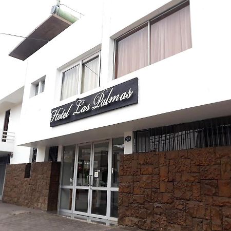 Hotel Las Palmas Arica Kültér fotó