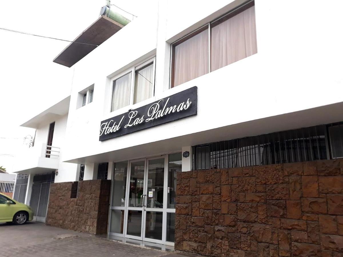 Hotel Las Palmas Arica Kültér fotó
