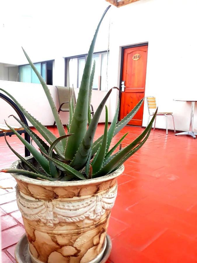 Hotel Las Palmas Arica Kültér fotó